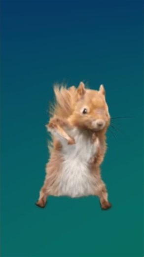 Dancing squirrel