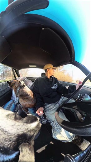 Bring the dogs! 🐕 🐕 #elcamino #blueheeler #heeler #caranddogs #classiccars #gbody #chevrolet