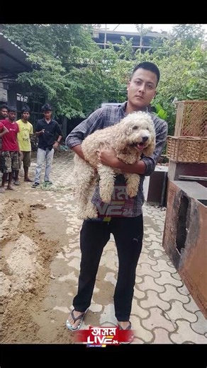 জুবিন গাৰ্গৰ প্ৰিয় কুকুৰ ইক'ক বিচাৰি পালে পৰিয়ালে।
