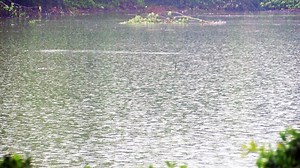 Goose Creek sets up email address seeking flooding information