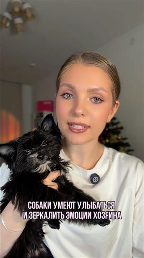 здоровые зубки нам помогает сохранять гипоалергенный гель #WW146440 (копируй и вставляй на вб)