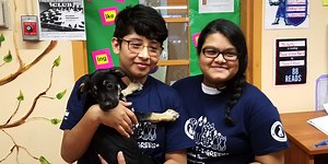 Using Mutt-i-grees in Schools | The Mutt-i-grees® Curriculum