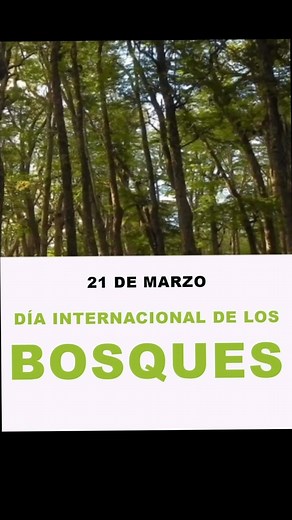 21 de marzo - Día Internacional de los Bosques. | Bosques Nativos Argentinos