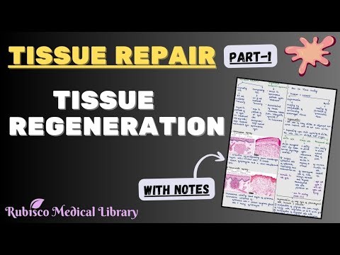 Tissue Repair-Regeneration | Inflammation and Repair | Pathology
