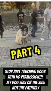 534K views · 4.9K reactions | explain this to me…you don’t just touch...