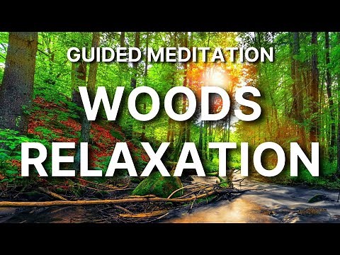 GUIDED MEDITATION WALKING THROUGH THE WOODS - A Relaxing Walk Through Peaceful Woodland and Meadows