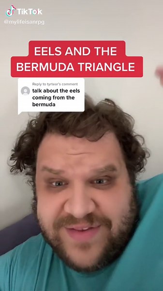 Eels & the Bermuda Triangle: Reproduction Facts Explained