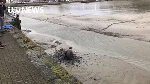 What a sticky situation! One couple managed to get stuck in Truro mud, sparking a 45 minute rescue operation. Find out more: http://bit.ly/2lhj68s | ITV News West Country