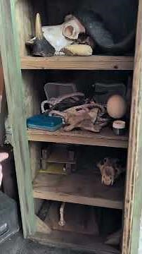 Behind the scenes bones