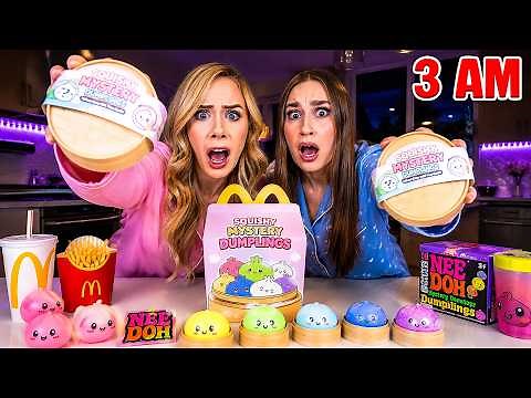 DO NOT ORDER THE SQUISHY HAPPY MEAL AT 3 AM