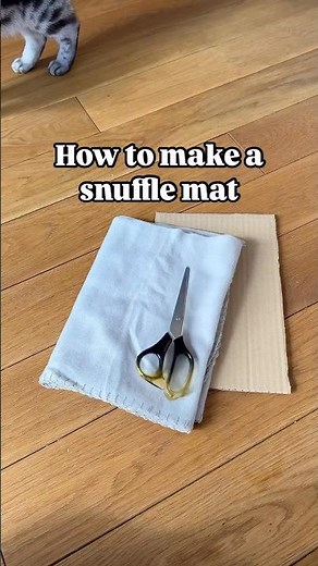 Make a super easy snuffle mat at home for your pet🙀🐾Follow for more🐈‍⬛ #cat #catlover #pet #cats