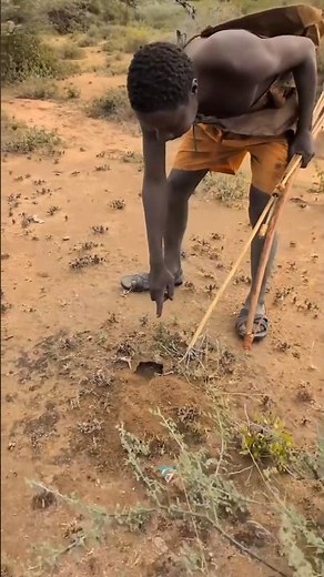 How African Tribes Find Water in the Middle of the Jungle#africa #youtubechannel #facts #trending