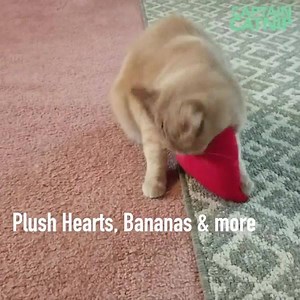 Cats love Captaincatnip! Cats Love Captain Catnip | CaptainCatnip.com | Facebook