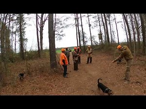 Rabbit Hunting 2024 2025 (Part 1) Fall Guy!