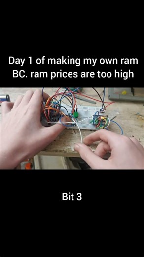 Making my own ram bc it's too expensive💀