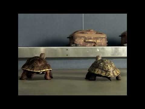 Comcast Slowskys Luggage Commercial ￼￼(2007)