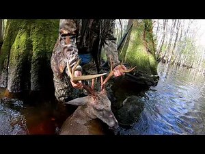 Deer Dog Drive 10/3/2020 An Amazing Hunt In The Swamp!!!
