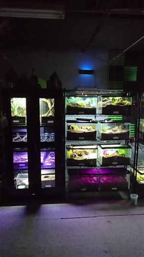 Get Your Enclosures Properly Organized and Lit