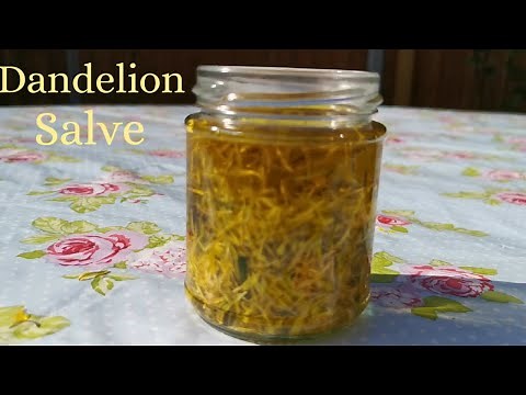 How to make dandelion salve - excellent for aching muscles and arthritis