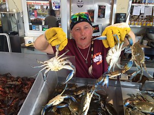 DC-area seafood sellers work to stay afloat with crab demand - WTOP News