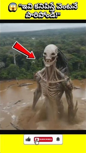 😱 "ఇవి కనిపిస్తే వెంటనే పారిపోండి!" #facts #telugufacts #scary