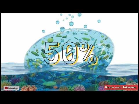 Did you know? The Secret Source of Our Oxygen (It’s Not What You Think!)🌳 🌊🍃