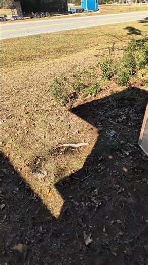 7x7x7 Concession Trailer