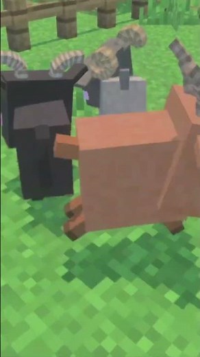 Fainting Goats Add-On in the Minecraft Marketplace 👻🐐😵