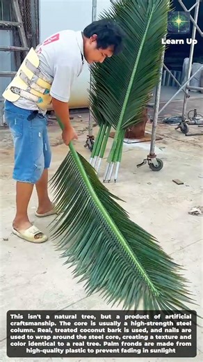 Build your own tropical oasis