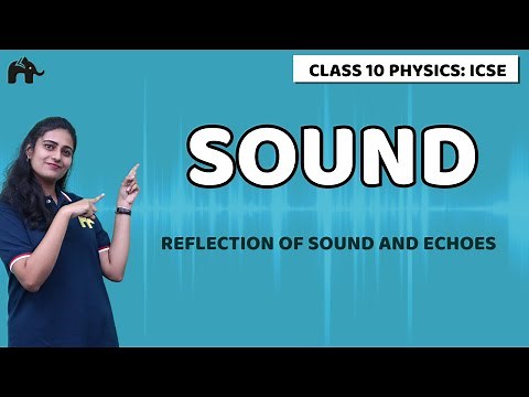 Sound Class 10 ICSE Physics | Selina Chapter 7 | Reflection of Sound And Echoes