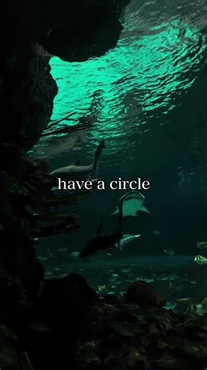Check your circle. #motivation #mindset #quotes