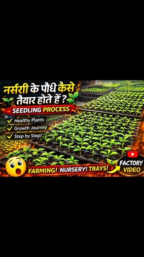 Day 70 | Automatic Nursery Tray Making Machine 😲 | #surojvlog #machine #factory #shorts #viral #vlog