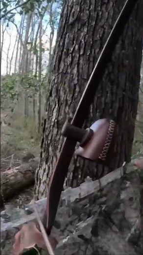 Coon Hunting with Bow