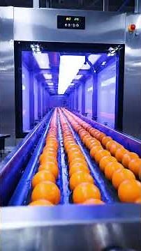 Boost Productivity: Automated Orange Juice Production Systems