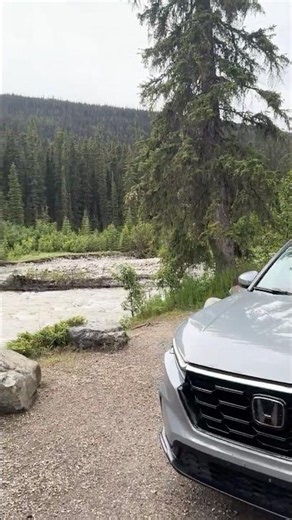📍 Jasper national park