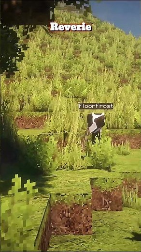 Shaders That Make Minecraft Look Like Real Life 🤯🌟