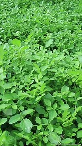 5.9K views · 17 shares | 5 aliments peuvent booster vos performances sportives | Doctissimo | Facebook