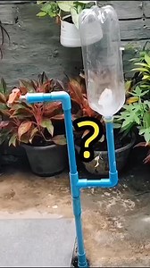 999K views · 14K reactions | Como hacer que llegue el agua a presión con una botella plástica #agua #botellaplastica #presion #experimentos #ciencia #proyectos #diy #manualidades #innovacion #educacion #sostenibilidad #reciclaje #tutorial #hacks #diversion #aprendizaje #creatividad #cienciacreativa #proyectosfaciles #soluciones | impulsó diario | Facebook