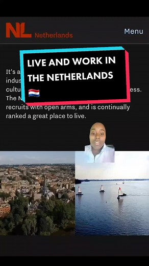 RESOURCE 1: https://www.welcome-to-nl.nl/immigration/applying-from-abroad RESOURCE 2: https://staging.rvo.webfant.io/work/ #netherlands #nethetlands🇳🇱 #livingnetherlands #relocation #workingabroad #movingabroad #workpermit #permanentresidency #residency #traveltiktok