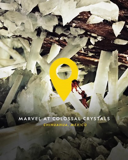 Discover a world beyond with a digital subscription to National Geographic. Get unlimited online articles, exclusive stories, and access to past issues. | National Geographic