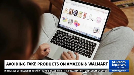 Navigating Online Shopping: Spotting Counterfeits on Marketplaces