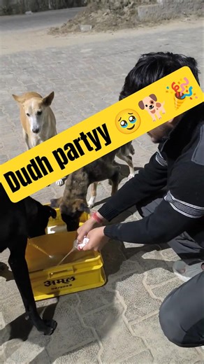 Saviour kalu ki party💖🐕#shorts#shortsfeed#video#trending#dog#dogeshbhai#ajjubhai#ristar#ff#reaction