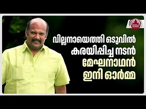 വില്ലനായെത്തി ഒടുവില്‍ കരയിപ്പിച്ച നടന്‍, മേഘനാഥന്‍ ഇനി ഓര്‍മ്മ | Meghanadhan