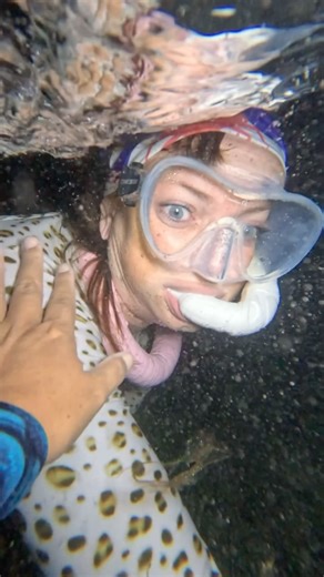 Great Chin Burger on Instagram: "Night diving is totally different from day dives! This full moon night dives started long time ago and it becomes a tradition. This night was extra special not just because of the ocean creatures but my company as well. Thank you ladies @beth.sea.lee @sterling_corbin for coming out bravely stayed for hours and this tiny octopus fwend inking us was the highlight of the night🤭😅. Poor @hotmomonguam got traumatized and our @capecalibrand definitely served an amazin