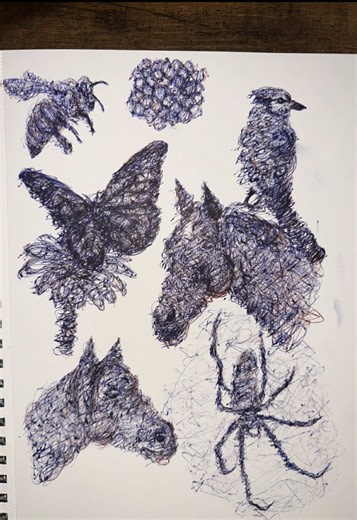 Exploring Abstract Horse Drawings and Wildlife Art