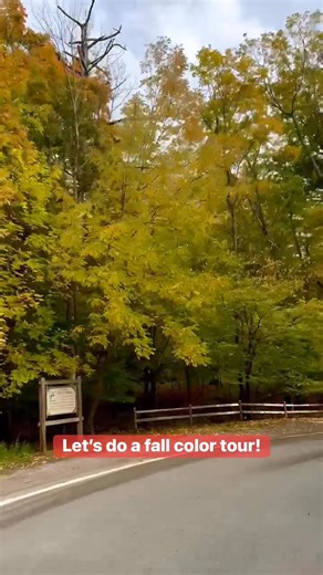 PEAK COLOR UPDATE: in about a week we will be at peak color. Follow us for updates as the fall color season comes to a close. #tunneloftrees #m119 #northernmichigan #puremichigan #fallvibes #harborspringsmi #goodhart #crossvillage | Tunnel of Trees, M119