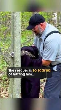 Ohio man approaches motionless baby owl 🥺🦉