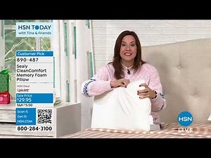 Sealy CleanComfort Memory Foam Pillow