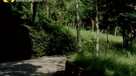 Сентиментальное образование (субтитры) - Educação Sentimental (реж. Júlio Bressane)(640x352p)[2013 Бразилия, драма, TVRip](1.37Gb)