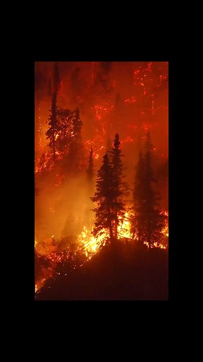 This is not just about one panda, one species, or one habitat. This is about our one shared home. | WWF UK